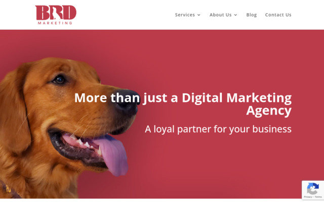 bigreddog.marketing preview image