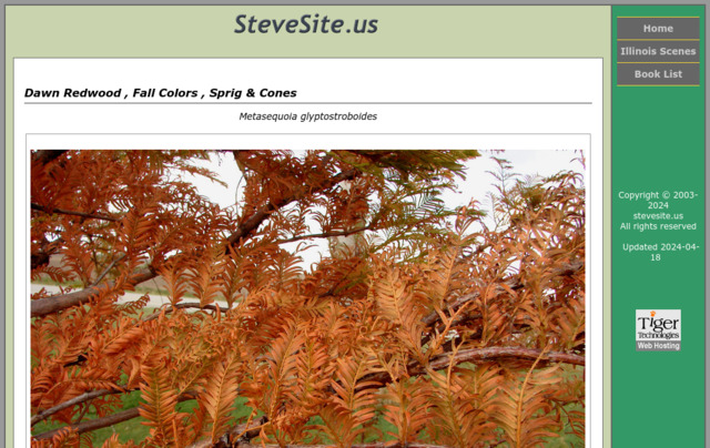 stevesite.us preview image