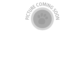 nikibiki.net preview image