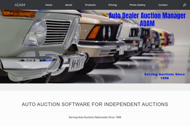 autoauctionsoftware.com preview image