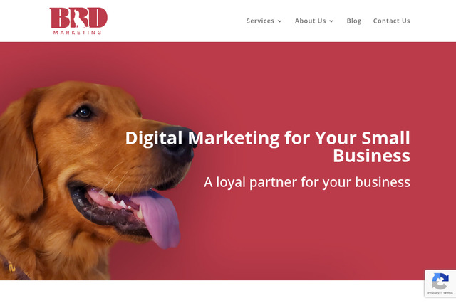 bigreddog.marketing preview image