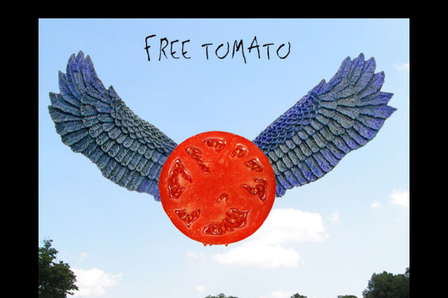 freetomato.com preview image