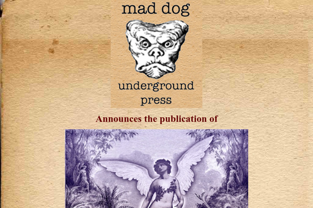 maddogunderground.com preview image