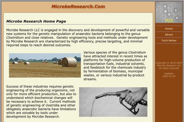 microberesearch.com preview image