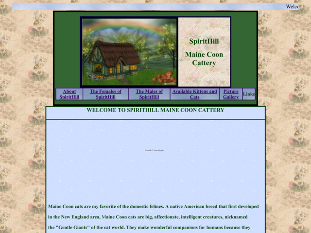 spirithillcats.com preview image