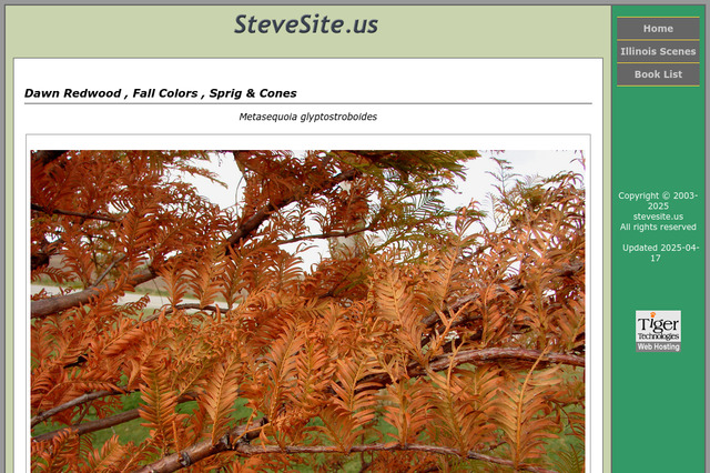 stevesite.us preview image