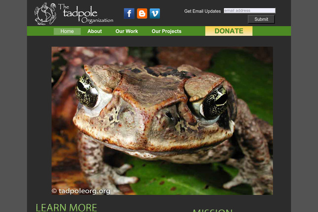 tadpoleorg.org preview image