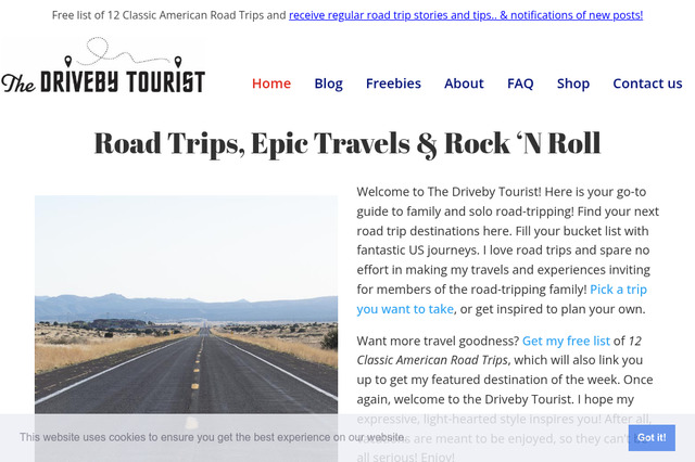 the-driveby-tourist.com preview image