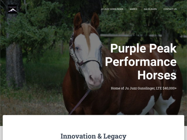 widneypaints.com preview image