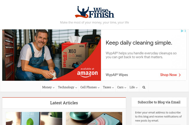 wisefinish.com preview image